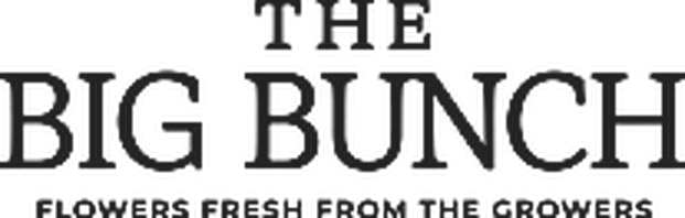 The Big Bunch